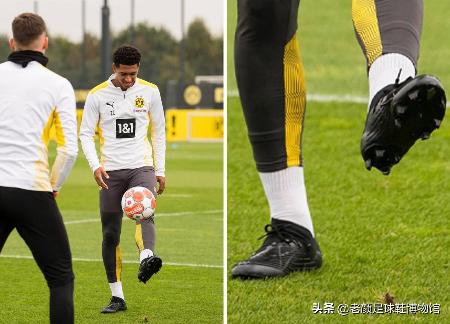 使杨瀚森的 使杨瀚森的